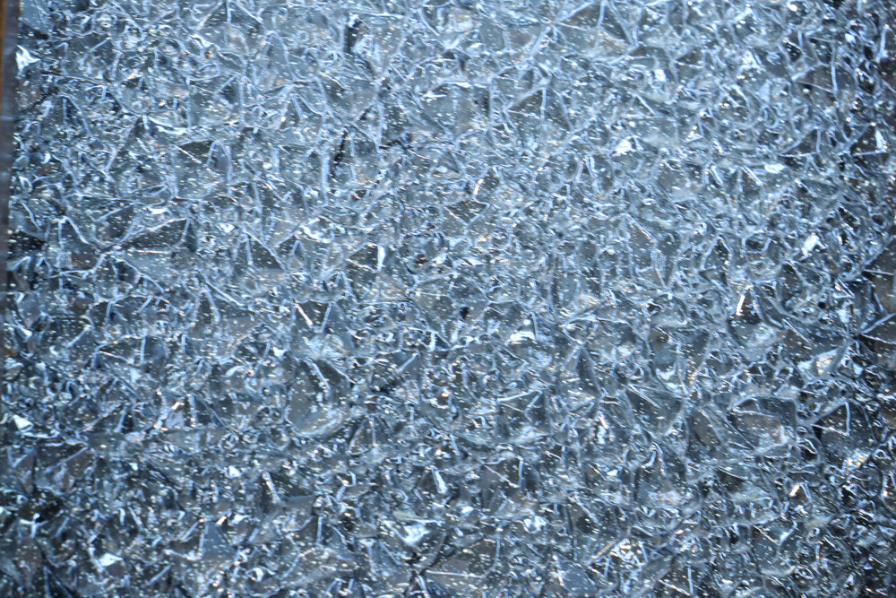 Glass door F8630