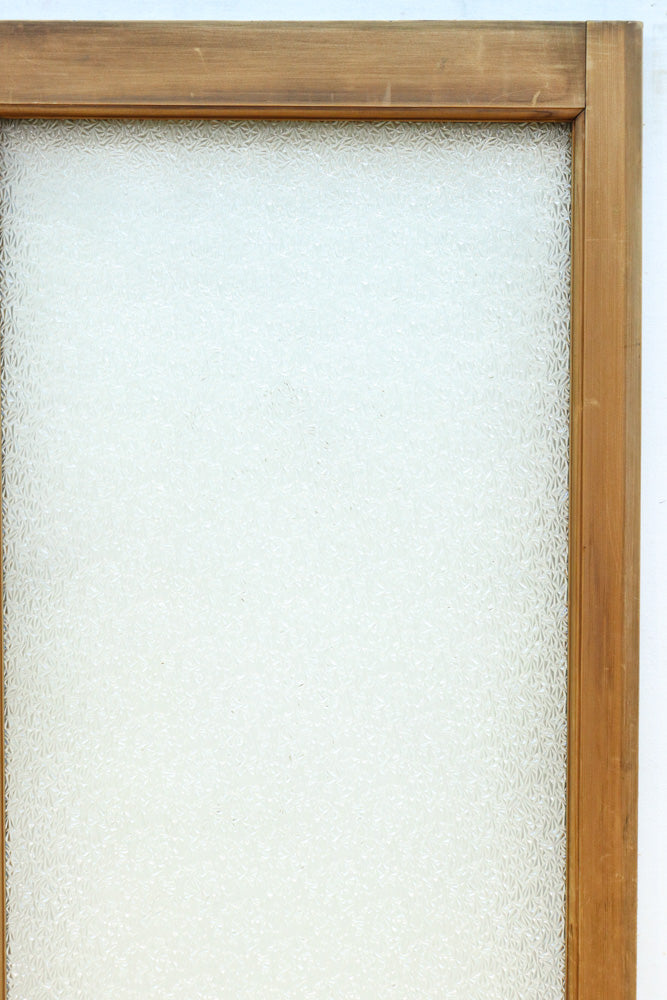 Glass door F8632