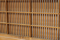 Osaka Lattice door F8645