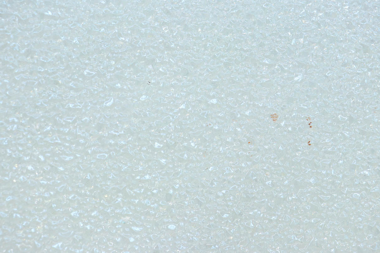 Glass door F8661