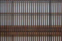 Wooden Door F8666