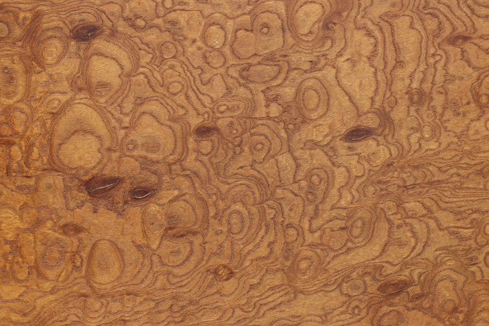 Wooden Door F8669