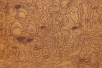 Wooden Door F8669