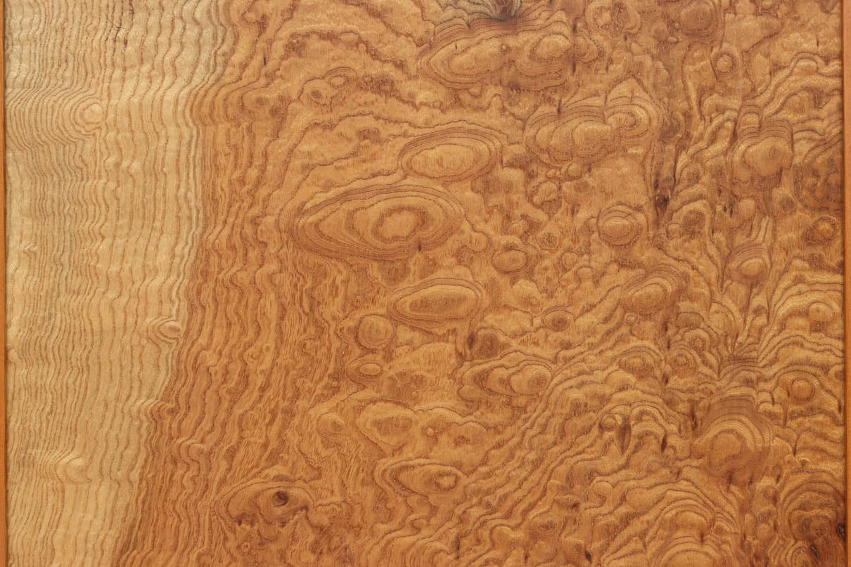 Wooden Door F8670