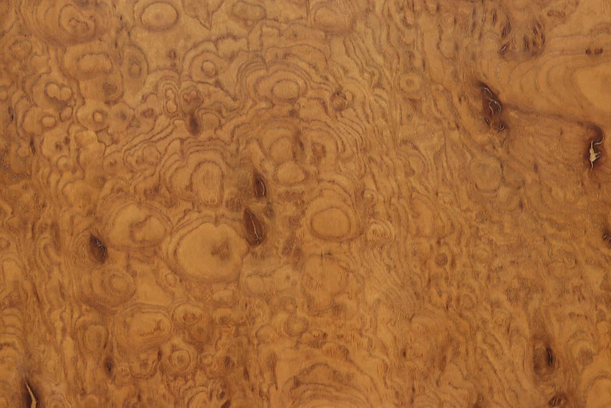 Wooden Door F8671