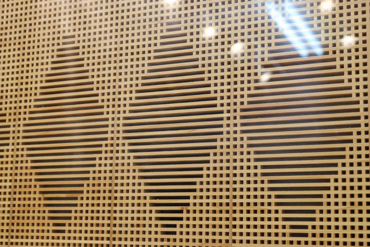 Wooden Door F8671