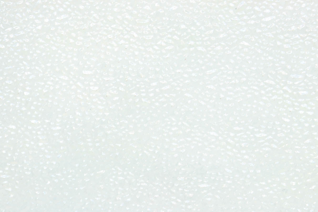 Glass door F8677