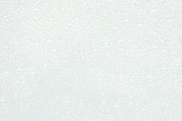 Glass door F8677
