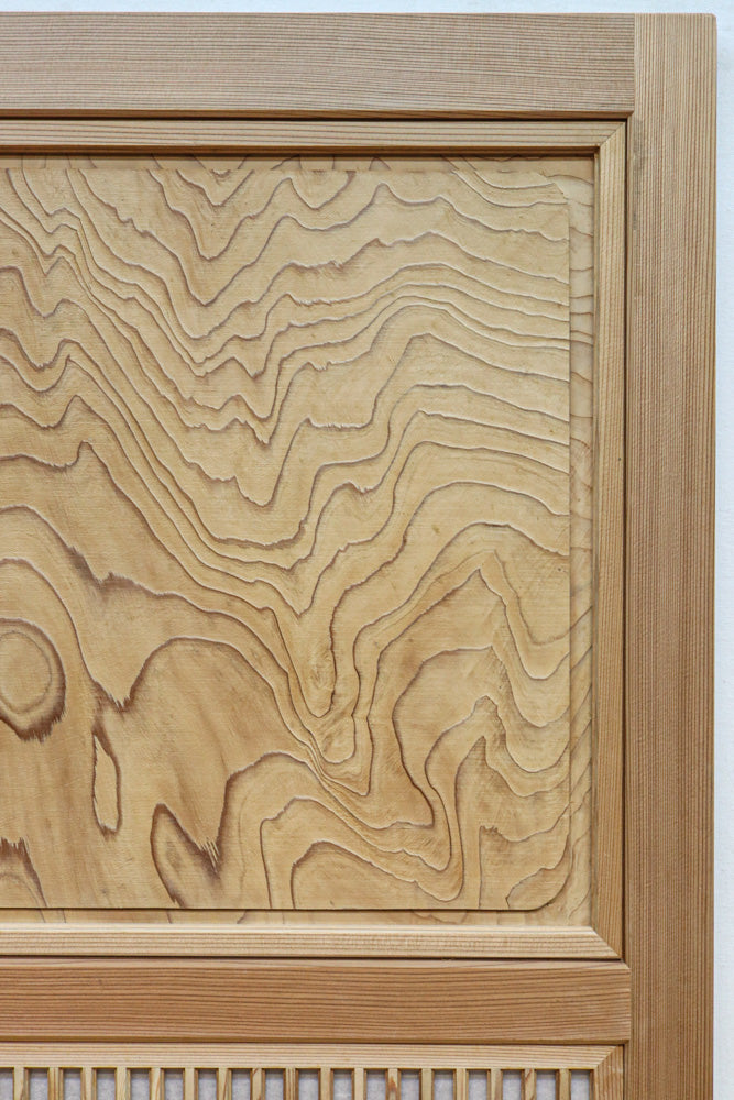 Wooden Door F8694