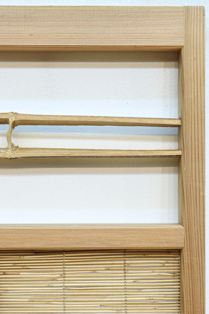 Bamboo Blind Door F8702a