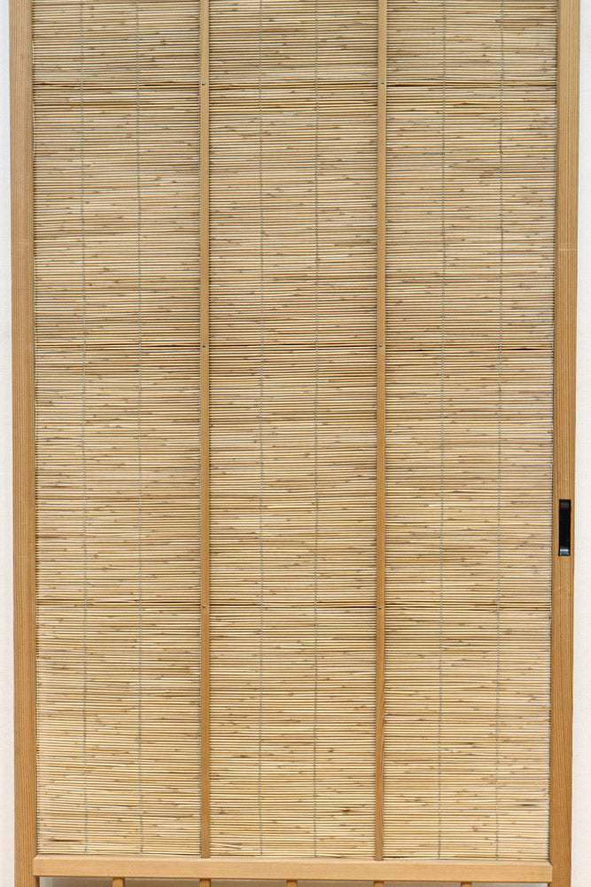 Bamboo Blind Door F8702a