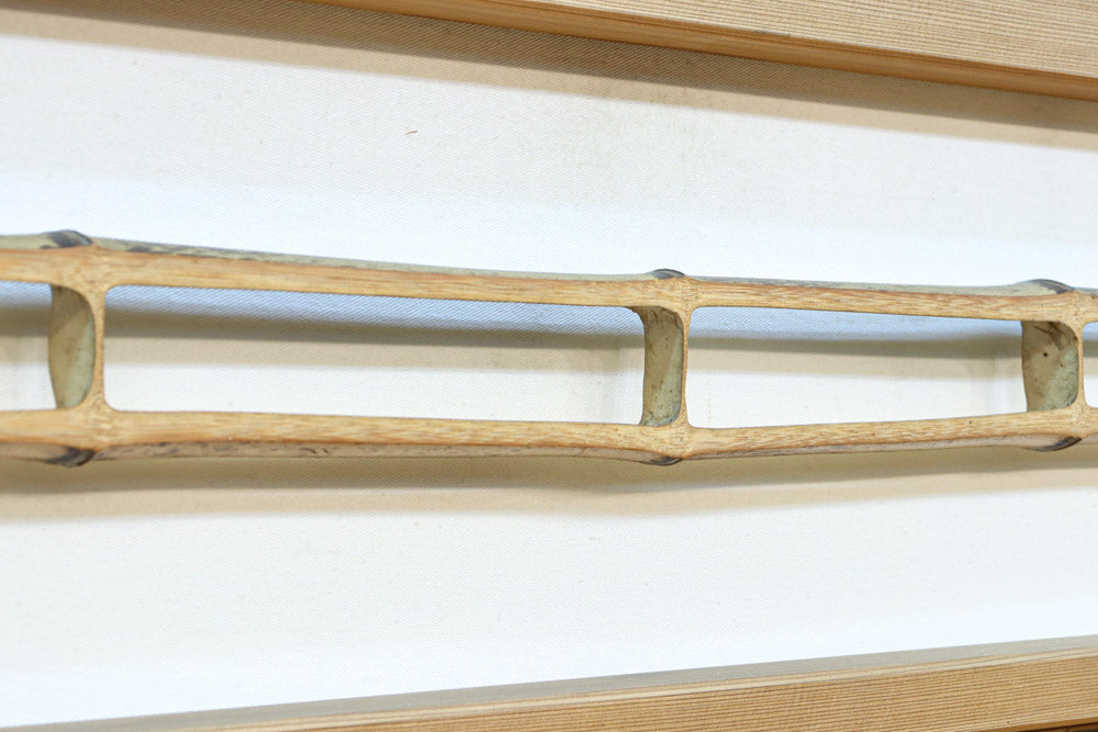 Bamboo Blind Door F8703a