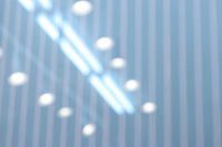Lattice door F8729