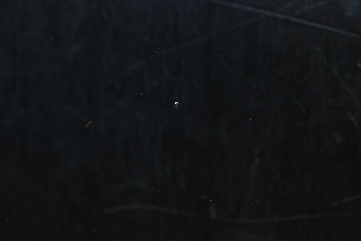 Glass door F8730