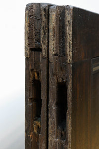 Glass door F8730
