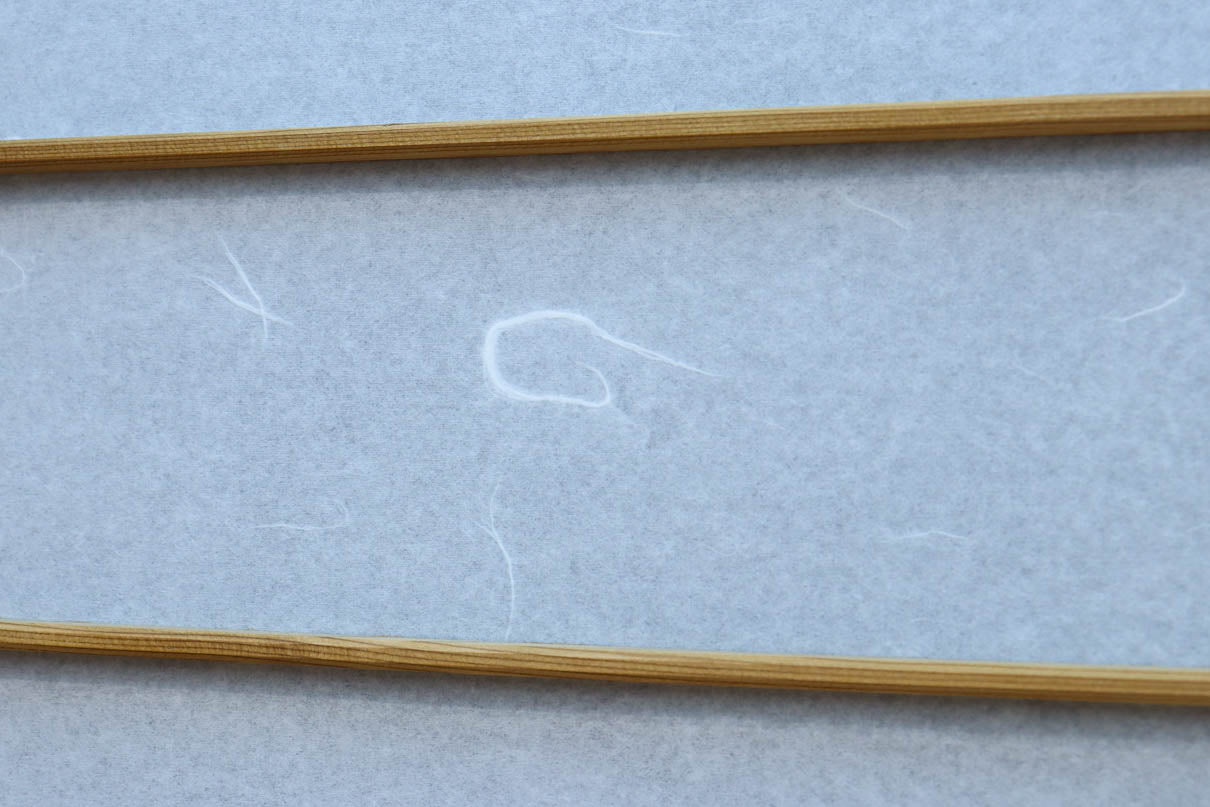 Snow-viewing shoji screen doors F8731