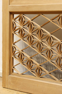 Snow-viewing shoji screen doors F8731
