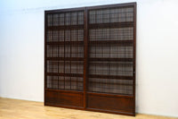 Lattice door F8744