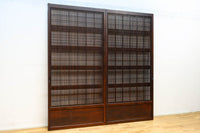Lattice door F8744