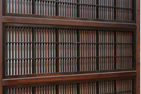 Lattice door F8745