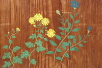 高さ1982ミリ 裏表で異なる草花を描いた趣きある杉一枚板絵戸　F8755　在庫2枚1組