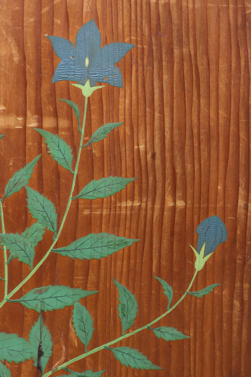 高さ1982ミリ 裏表で異なる草花を描いた趣きある杉一枚板絵戸　F8755　在庫2枚1組