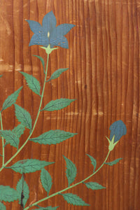 高さ1982ミリ 裏表で異なる草花を描いた趣きある杉一枚板絵戸　F8755　在庫2枚1組