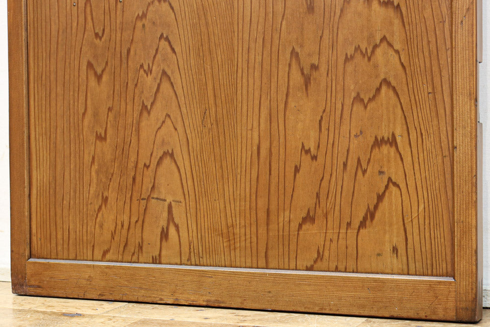 Glass door F8769