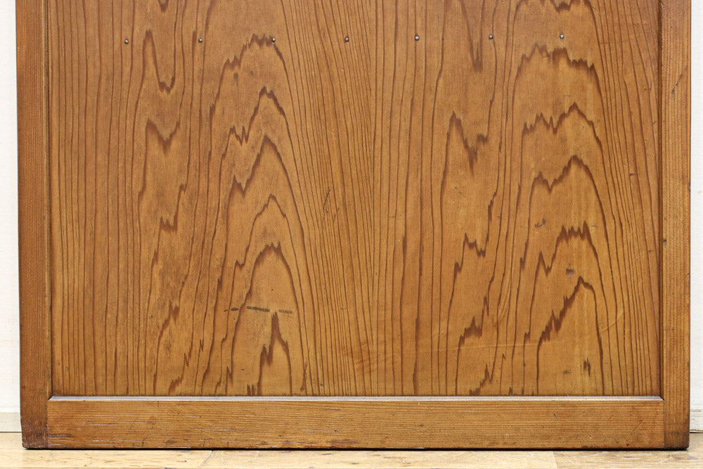 Glass door F8769