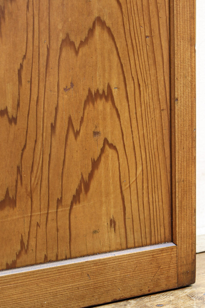 Glass door F8769