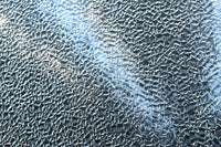 Glass door F8769
