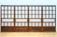 Glass door F8777