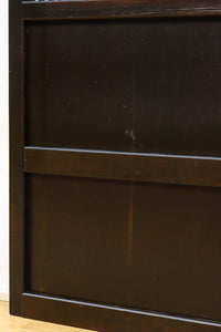 Lattice door F8816