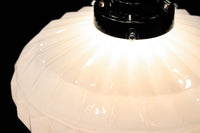 Lamp Shades DC6250