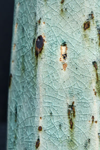 Antique tools DC8460