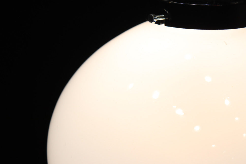 椿の花の透かし絵が浮かぶ可愛らしい電笠　DC8440