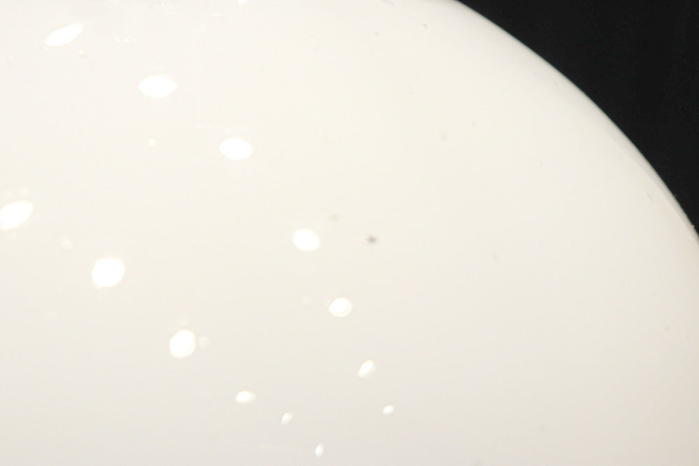 椿の花の透かし絵が浮かぶ可愛らしい電笠　DC8440