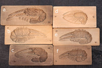 Plus with a lid depicting a given shrimp figure DB7226A-F inventory (A: 1 B: 1 C: 1 D: 1 E: 0 F: 1)