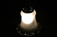 Electric shade DB5510 of the silhouette which had a frill