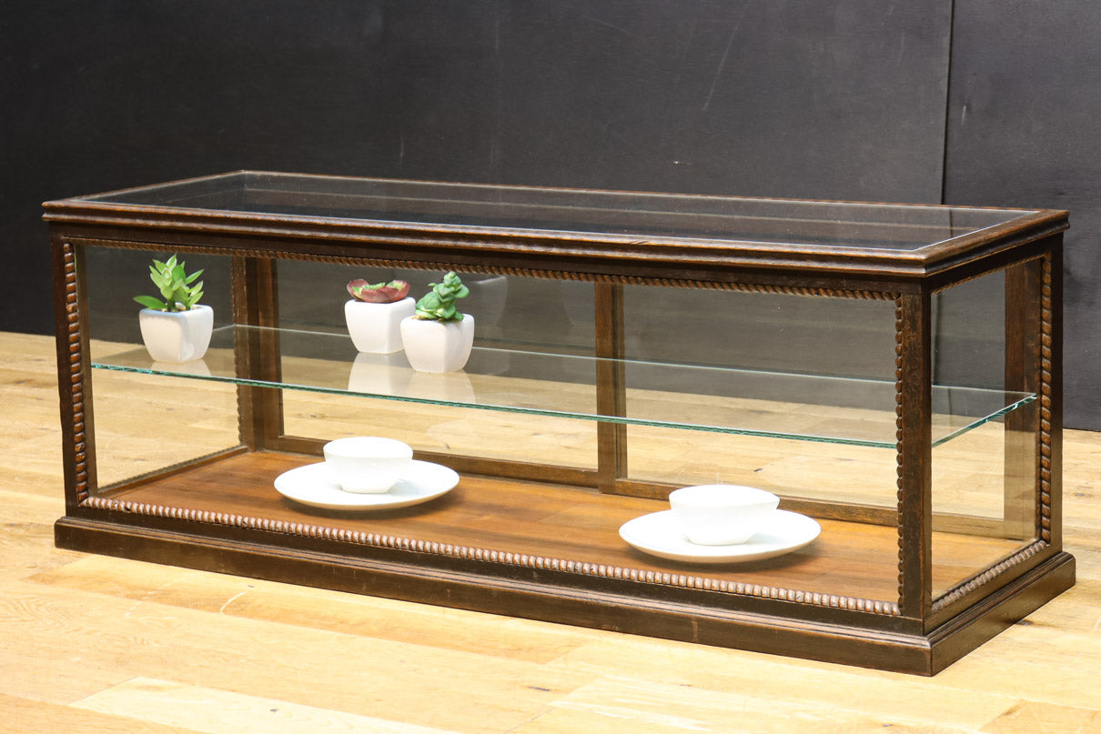 引き取り限定 福岡県 ガラスショーケース 温室 塊根 グラキリス