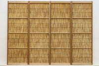 Antique slim bamboo door F7693