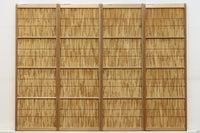 Antique slim bamboo door F7693