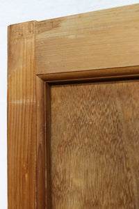 Slim size wooden door F7774